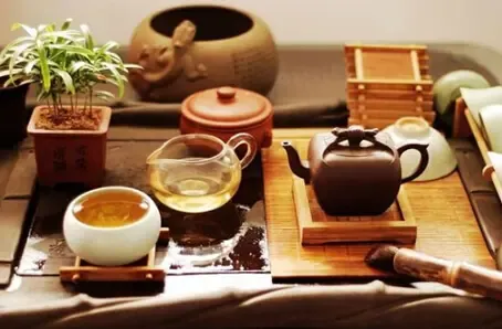 茶犬悠然，茶香润心——茶道与健康同行